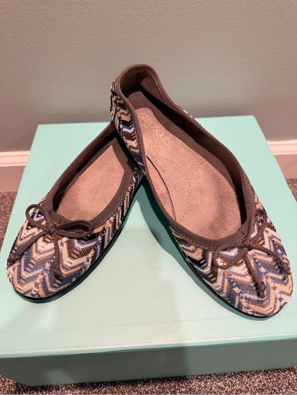 AEROSOLES Blue & Brown Chevron Ballet Flats